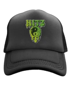 hitz disposable