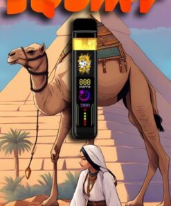 Habibi Squirt
